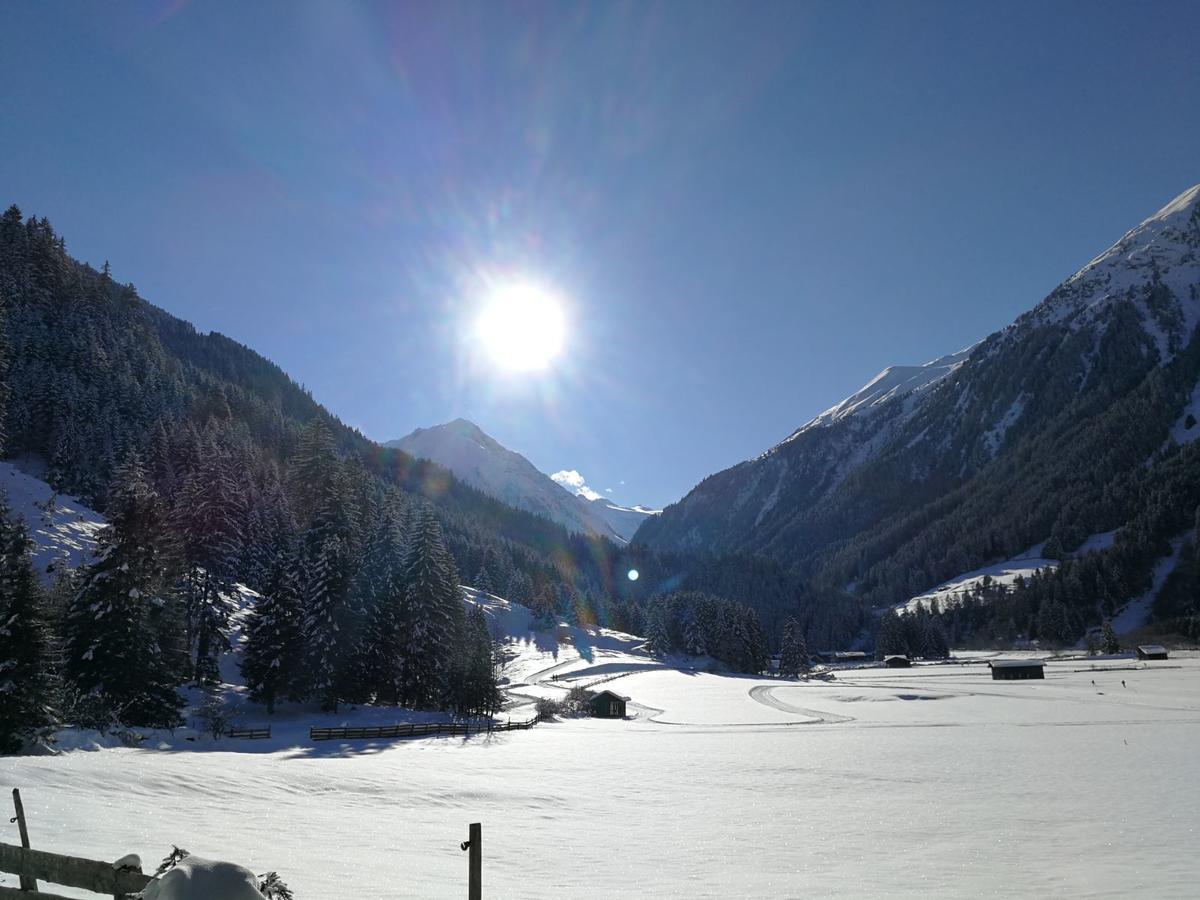 Appartement Haus Waldesruh *