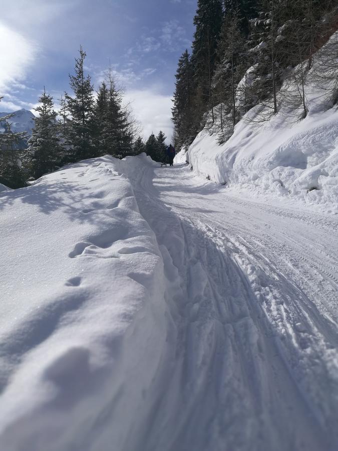 Appartement Haus Waldesruh Neustift im Stubaital