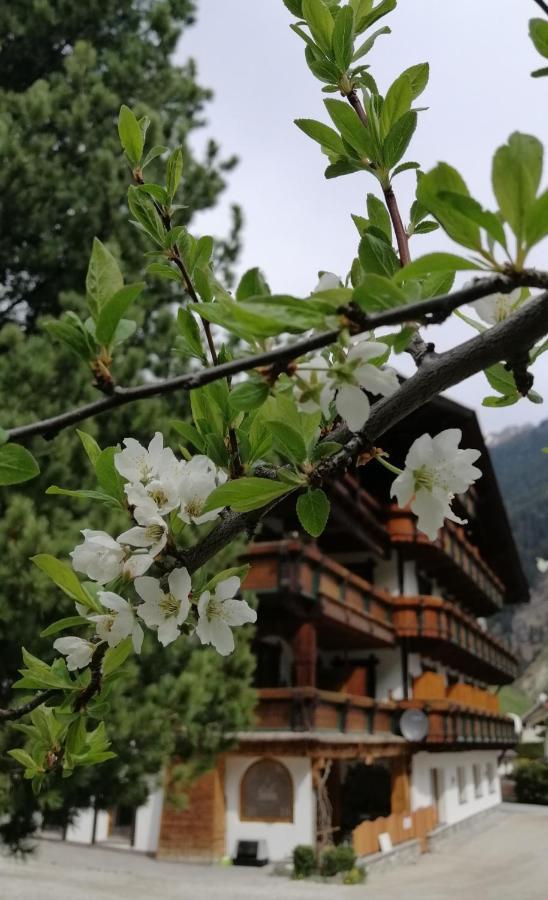 Appartement Haus Waldesruh