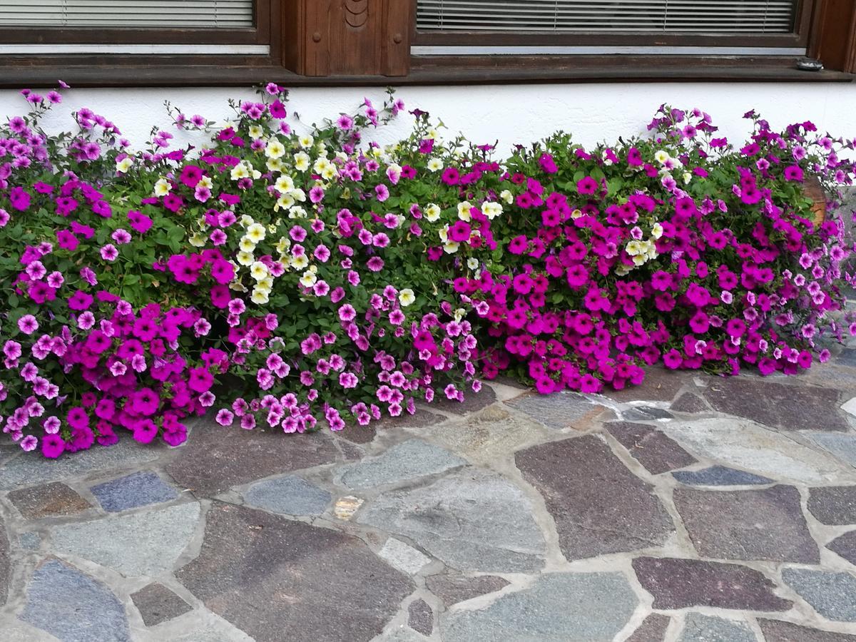 Haus Waldesruh Neustift im Stubaital